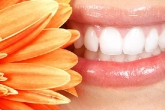 口腔知识：牙痛上火的常见类型及调理方法